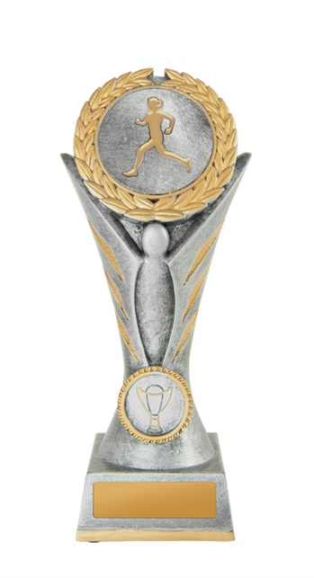 16a-2dc17fa_discount-general-sports-trophies.jpg