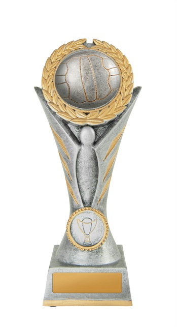 16a-5628sg_discount-netball-trophies.jpg