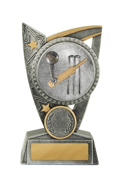 17a-2dc1g_discount-general-sports-trophies.jpg
