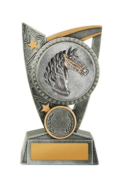 17a-2dc29g_discount-general-sports-trophies.jpg