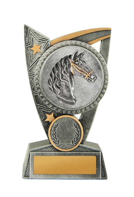 17a-2dc29g_discount-general-sports-trophies.jpg