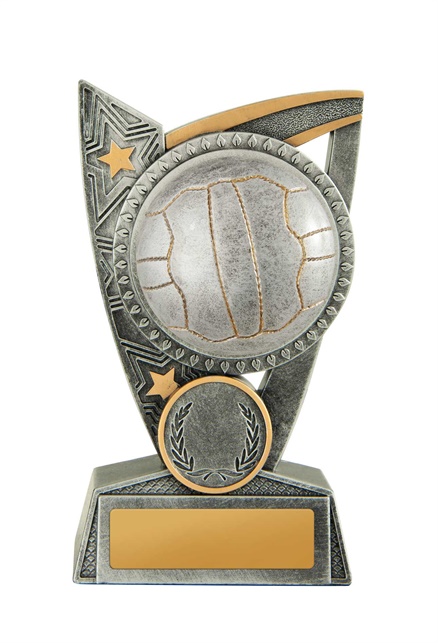 17a-2dc8ga_discount-netball-trophies.jpg
