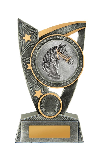17a-2dc29g_discount-general-sports-trophies.jpg