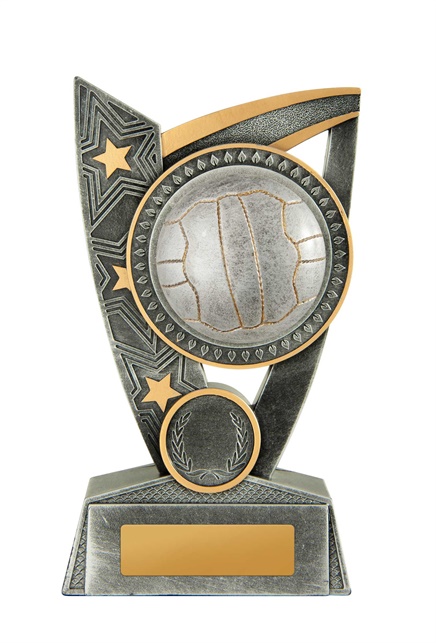 17a-2dc8ga_discount-netball-trophies.jpg