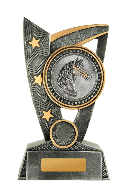 17a-2dc29g_discount-general-sports-trophies.jpg