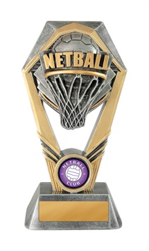18a-ri8g_discount-netball-trophies.jpg