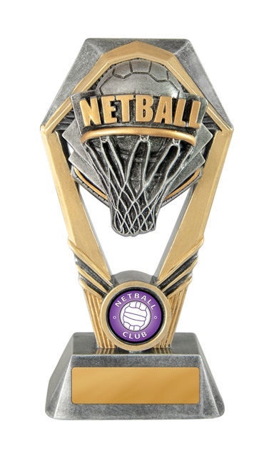 18a-ri8g_discount-netball-trophies.jpg