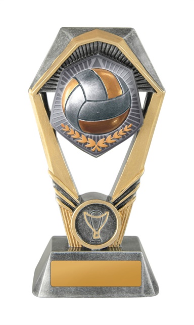 18a-ts13b_discount-netball-trophies.jpg