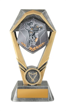 18a-ts14g_discount-general-sports-trophies.jpg