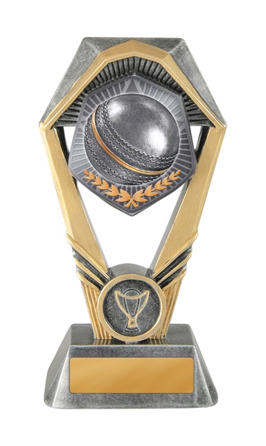 18a-ts1b_discount-general-sports-trophies.jpg