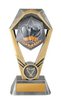 18a-ts32g_discount-general-sports-trophies.jpg