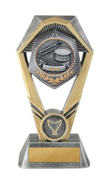 18a-ts45g_discount-general-sports-trophies.jpg
