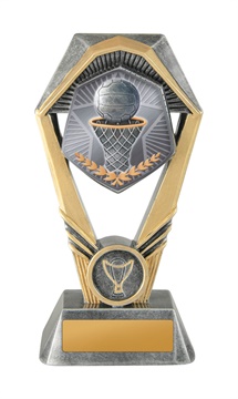 18a-ts8g_discount-netball-trophies.jpg