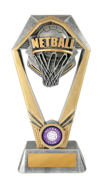 18a-ri8g_discount-netball-trophies.jpg