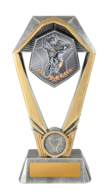 18a-ts14g_discount-general-sports-trophies.jpg