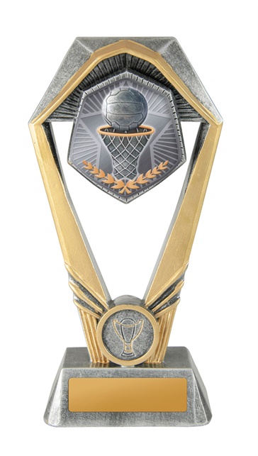 18a-ts8g_discount-netball-trophies.jpg