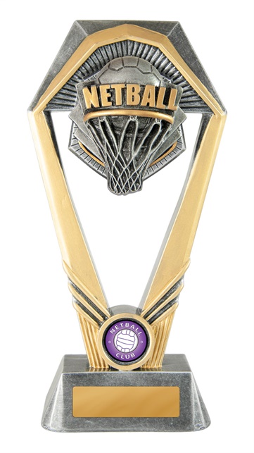 18a-ri8g_discount-netball-trophies.jpg