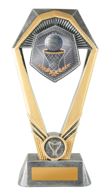 18a-ts8g_discount-netball-trophies.jpg