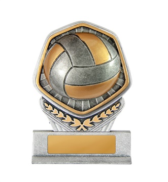 19a-ri13b_discount-volleyball-trophies.jpg