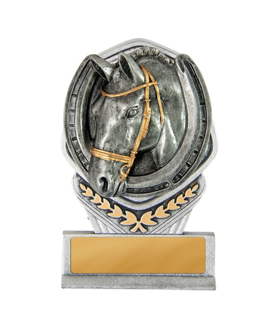 19a-ri29g_discount-general-sports-trophies.jpg
