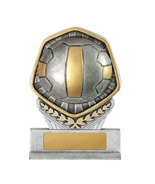 19a-ri8b_discount-netball-trophies.jpg
