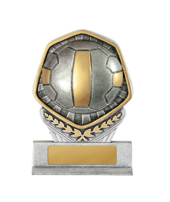 19a-ri8b_discount-netball-trophies.jpg