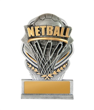 19a-ri8g_discount-netball-trophies.jpg