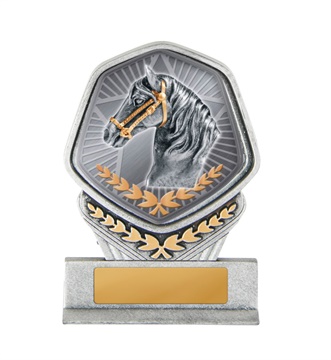 19a-ts29g_discount-general-sports-trophies.jpg