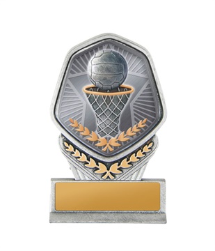 19a-ts8g_discount-netball-trophies.jpg