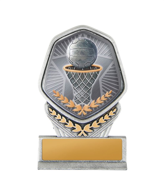19a-ts8g_discount-netball-trophies.jpg