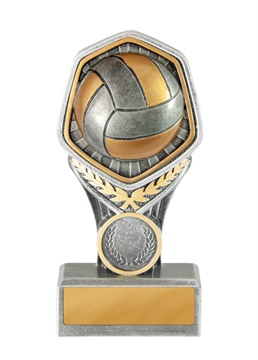 19b-ri13b_discount-volleyball-trophies.jpg