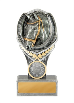 19b-ri29g_discount-general-sports-trophies.jpg