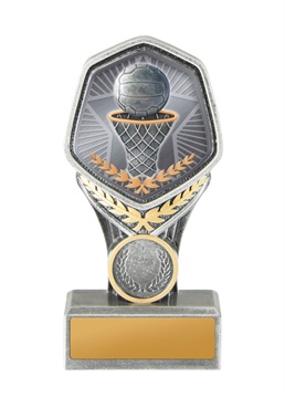 19b-ts8g_discount-netball-trophies.jpg