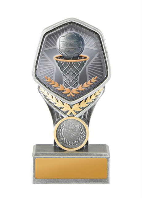 19b-ts8g_discount-netball-trophies.jpg