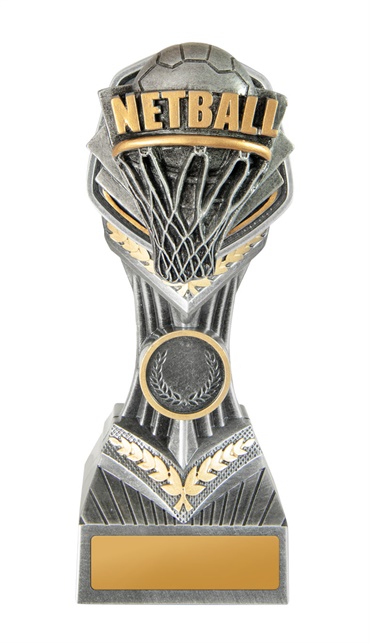 19b-ri8g_discount-netball-trophies.jpg