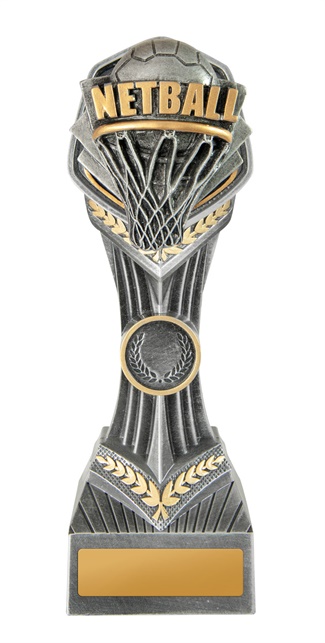 19b-ri8g_discount-netball-trophies.jpg