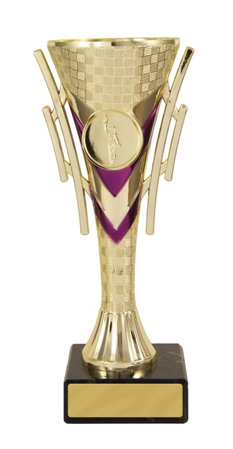 202gpu-1_discount-general-sports-trophies.jpg