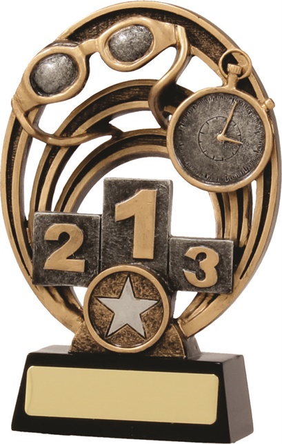 21330a_discount-swimming-trophies.jpg