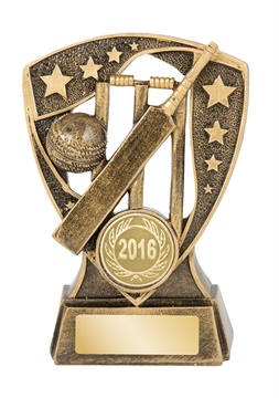 21464a_discount-cricket-trophies.jpg