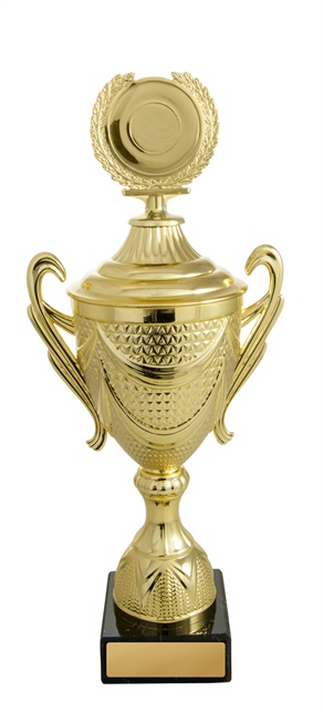 219g-1_discount-general-sports-trophies.jpg