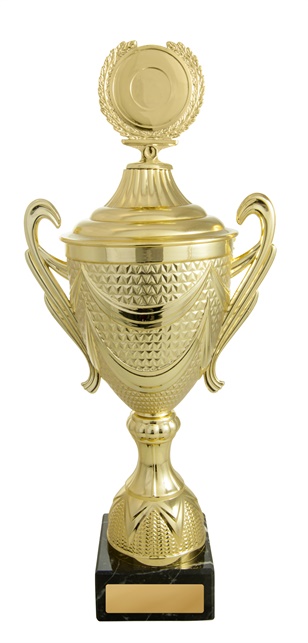 219g-1_discount-general-sports-trophies.jpg