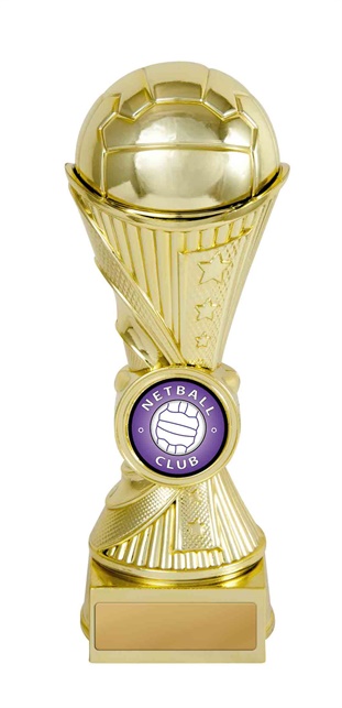 222-8ga_discount-netball-trophies.jpg