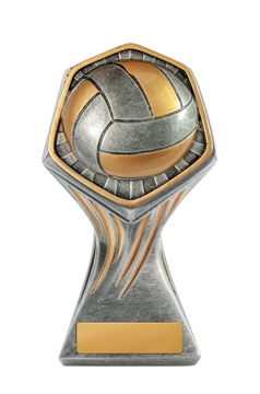 22a-ri13b_discount-volleyball-trophies.jpg