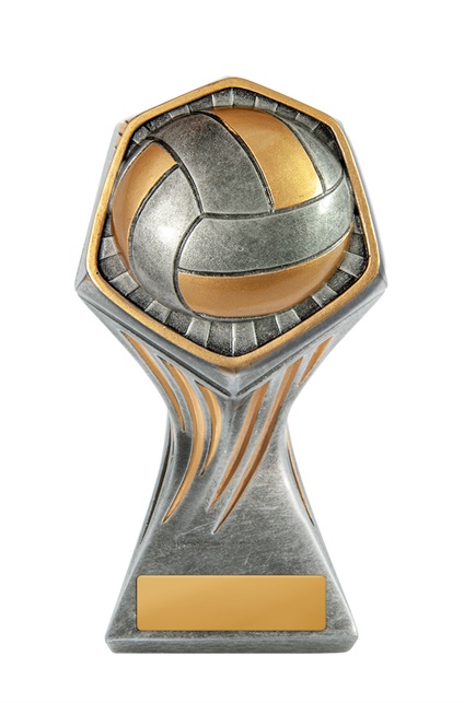 22a-ri13b_discount-volleyball-trophies.jpg