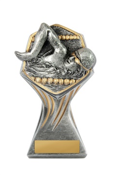 22a-ri2m_discount-general-sports-trophies.jpg