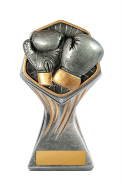 22a-ri32g_discount-general-sports-trophies.jpg