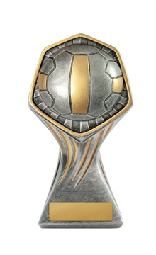 22a-ri8b_discount-netball-trophies.jpg