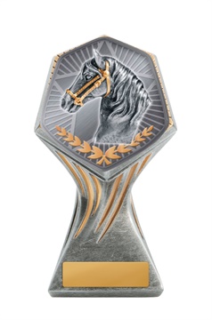 22a-ts29g_discount-general-sports-trophies.jpg