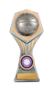 22b-2dc8ga_discount-netball-trophies.jpg