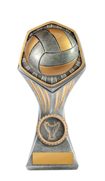 22b-ri13b_discount-volleyball-trophies.jpg